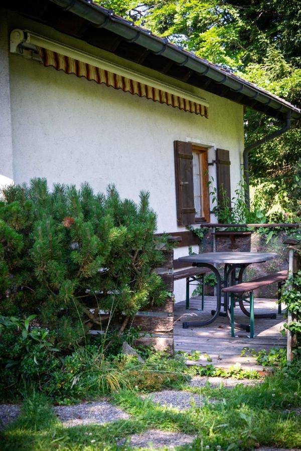 Ferienhaus Schetteregg Exteriér fotografie