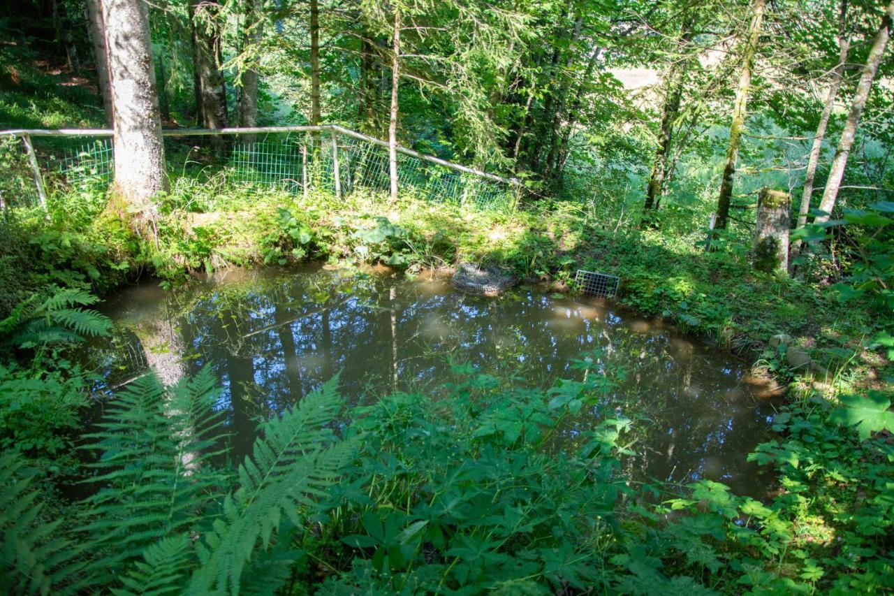 Ferienhaus Schetteregg Exteriér fotografie
